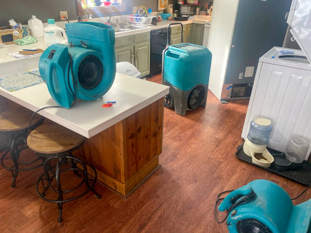 Best Flood damage cleanup  in Newbern, TN
