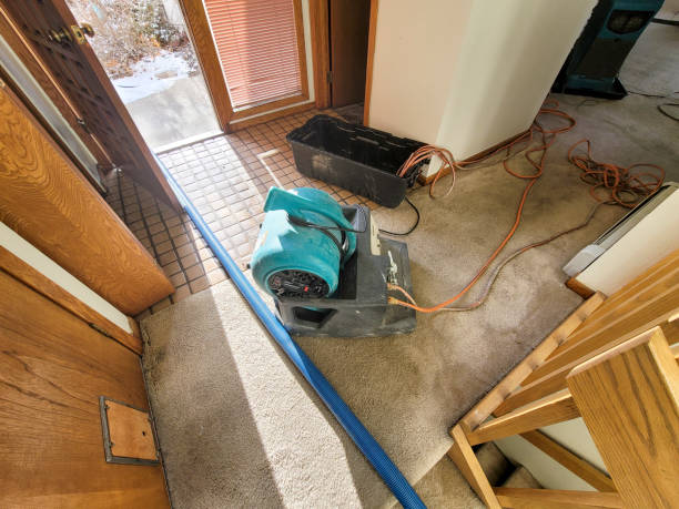 Best Commercial water damage restoration  in Newbern, TN