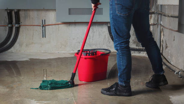 Best Water damage restoration near me  in Newbern, TN