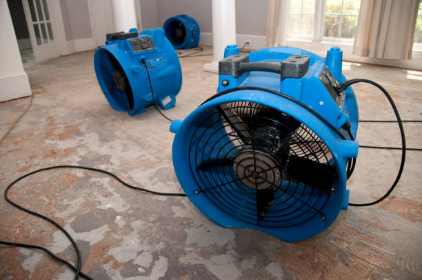 Best Sewage cleanup and water damage restoration  in Newbern, TN