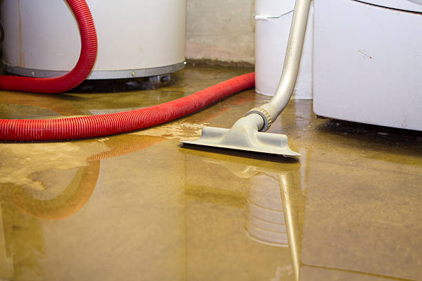 Best Water damage restoration experts  in Newbern, TN