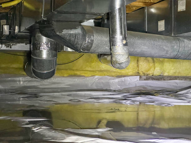 Best Mold removal after water damage  in Newbern, TN