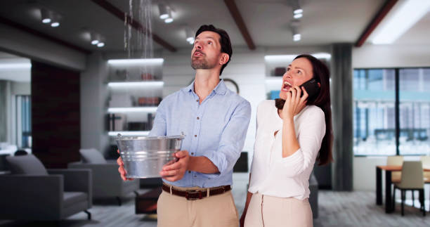 Best Carpet water damage restoration  in Newbern, TN